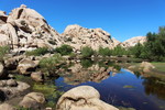 photo thumbnail #7