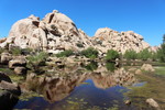 photo thumbnail #8