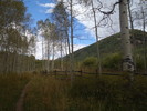 photo thumbnail #9