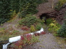 photo thumbnail #3