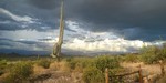 photo thumbnail #1