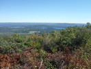 photo thumbnail #15
