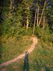 photo thumbnail #1