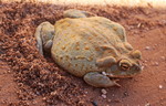 photo thumbnail #9