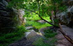 photo thumbnail #15