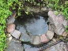 photo thumbnail #9