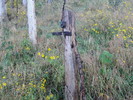 photo thumbnail #11