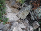 photo thumbnail #1
