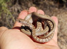photo thumbnail #2