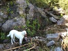 photo thumbnail #2
