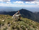 photo thumbnail #6
