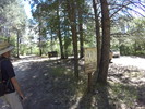 photo thumbnail #14