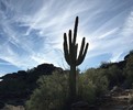 photo thumbnail #12
