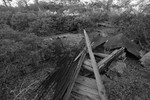 photo thumbnail #14