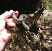 photo thumbnail #2