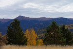 photo thumbnail #9