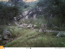 photo thumbnail #1