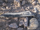 photo thumbnail #5