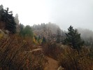 photo thumbnail #11