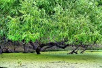 photo thumbnail #4