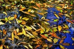 photo thumbnail #10