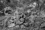 photo thumbnail #14