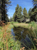 photo thumbnail #15