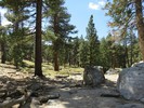 photo thumbnail #10