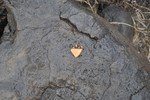 photo thumbnail #9