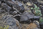 photo thumbnail #12