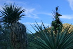 photo thumbnail #11