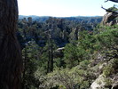 photo thumbnail #4