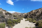 photo thumbnail #10