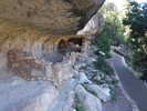 photo thumbnail #5