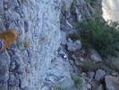 photo thumbnail #10
