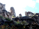 photo thumbnail #14