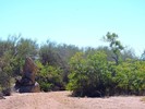 photo thumbnail #15