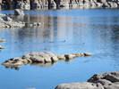 photo thumbnail #4