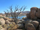 photo thumbnail #5