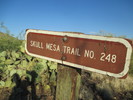 photo thumbnail #4