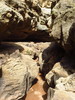 photo thumbnail #11