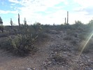 photo thumbnail #5