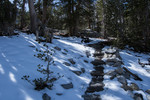 photo thumbnail #8