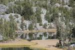 photo thumbnail #12