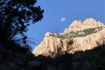 photo thumbnail #5