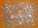 photo thumbnail #14