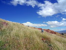 photo thumbnail #1