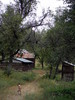 photo thumbnail #8