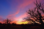 photo thumbnail #13