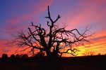 photo thumbnail #15